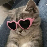 maddis ugc