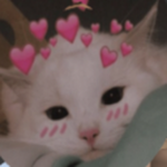 I love u guys