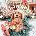 ʚ Livs Apparel ɞ