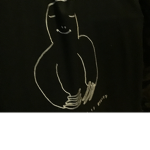 Penguins from Madagascar