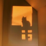 𝙞 𝙨𝙪𝙧𝙫𝙞𝙫𝙚𝙙 