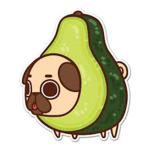 Avocados and Pugs