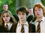 HARRY POTTER SUPER FAN GROUP OFFICIAL