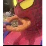 Dad bobux