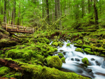 Nature lover!!:)