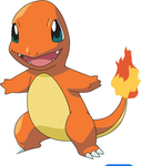 Out Doors Online!