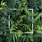 Leaves’ Group