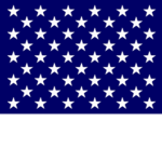 Federal Army Of The United States Navy