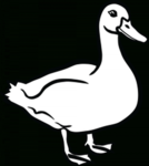 Ducksᅠ