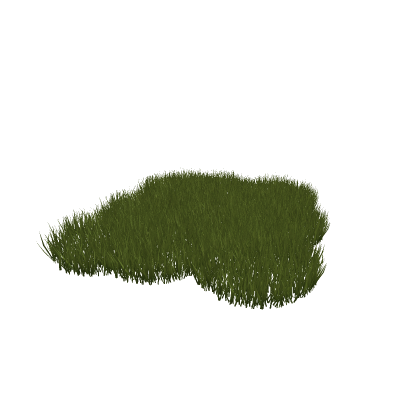 Grass