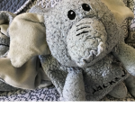 BlueBlankyFriends