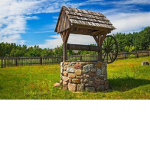 JUICE WORLDS WISHING WELL