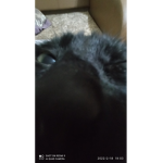 Xlytdo