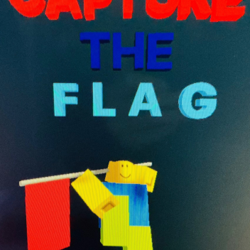 CAPTURE THE FLAG 