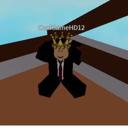 puting your roblox avatar in the game