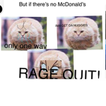 welcome to McDonald’s how can I help you