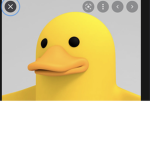 Ducks United!!!!!!!!!!!