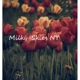 *-Milky Skies NY Homestore-*