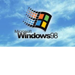 have fun sim