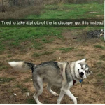 Why do I have to name this?