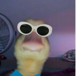 oso guapo unete ya