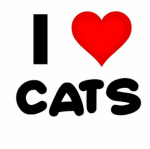 Cat Mania Squad