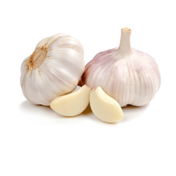 Garlic's Admin Place 2
