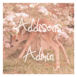 Addison's Admin