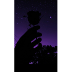 $hades of purple.