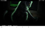 Dell cat