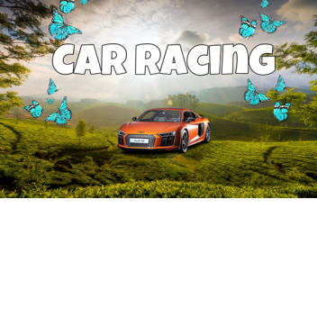 Epic Car Race for Friends!