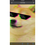 Doggy fann fun