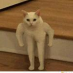 My Group: ME IS MY CATSUP