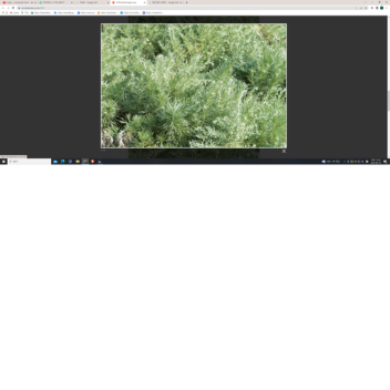 제목 없는 게임