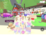@thepuppysquad