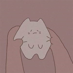 ticcats