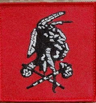 DEVGRU RED SQUADRONS