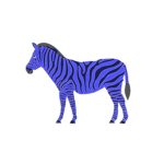 Zebra Habbitat