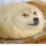 bread doge