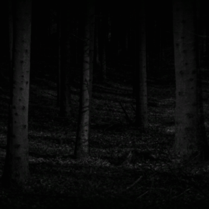 Black Forest