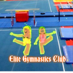 Elite Gymnastics Club!