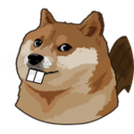 Beaver Doge