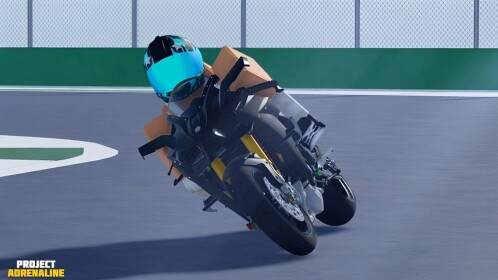 Adrenalina z Moto Project