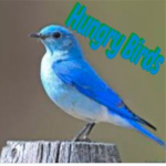Hungry Birds.