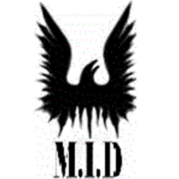Midnight Division HOLO (1k+ Place Visits)
