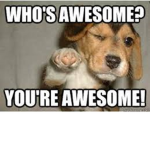 WHO AWSOME CLAN