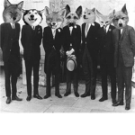 Doge's Gaming Mafia