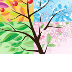 Season Love!