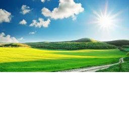 A  "normal" game, I promise.