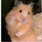 NiSsItOs Fandom UwU
